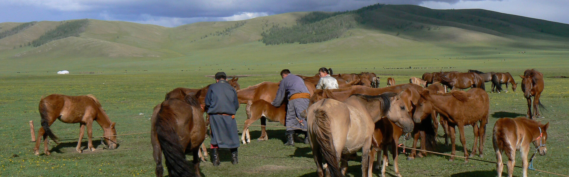 Mongolie Altai Adelaars Festival reis