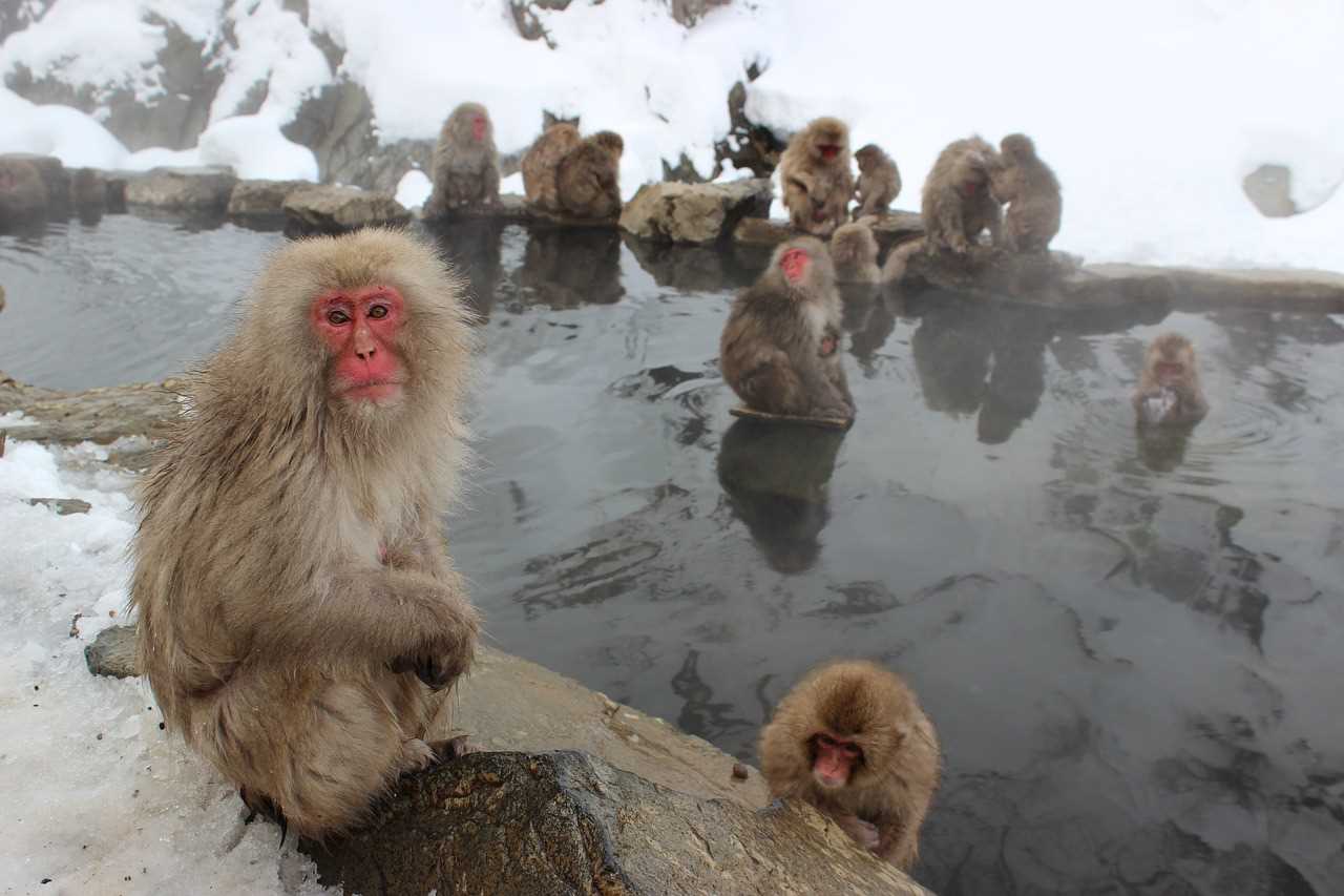 Sfeerafbeelding Japan-Kerst-reis