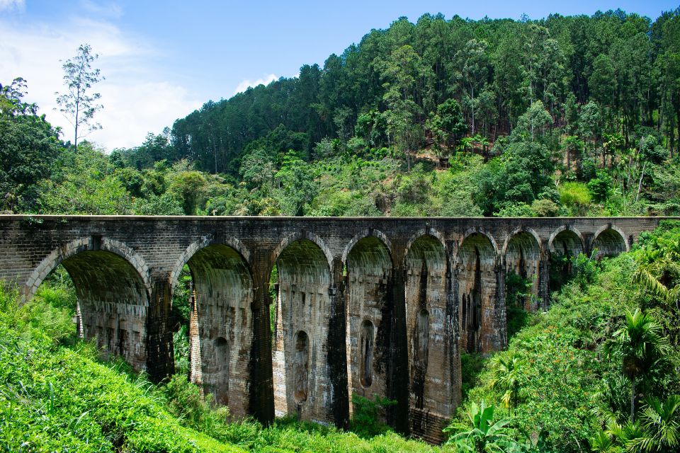 Sfeerafbeelding taiwan trainbridge dimsum rondreizen