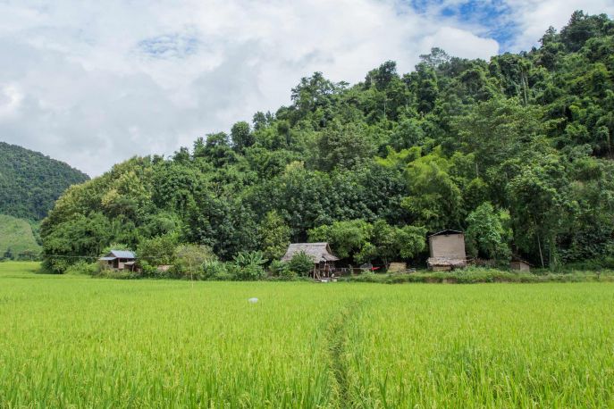 Sfeerafbeelding trekking laos dimsum reizen treinreis