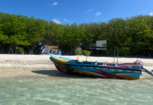 Sfeerafbeelding Pigeon island trincomalee duiveneiland bootje